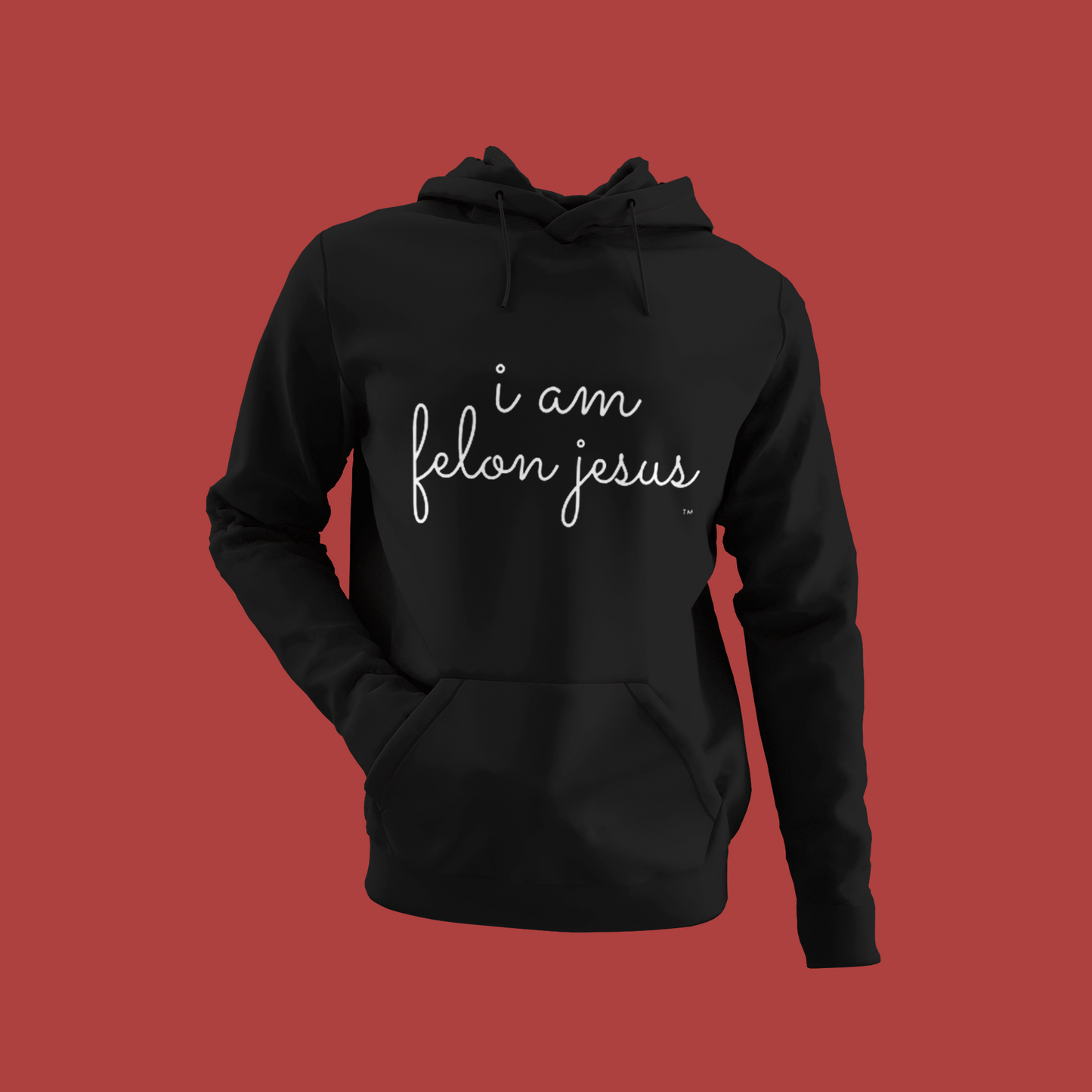 I Am Felon Jesus Hoodie