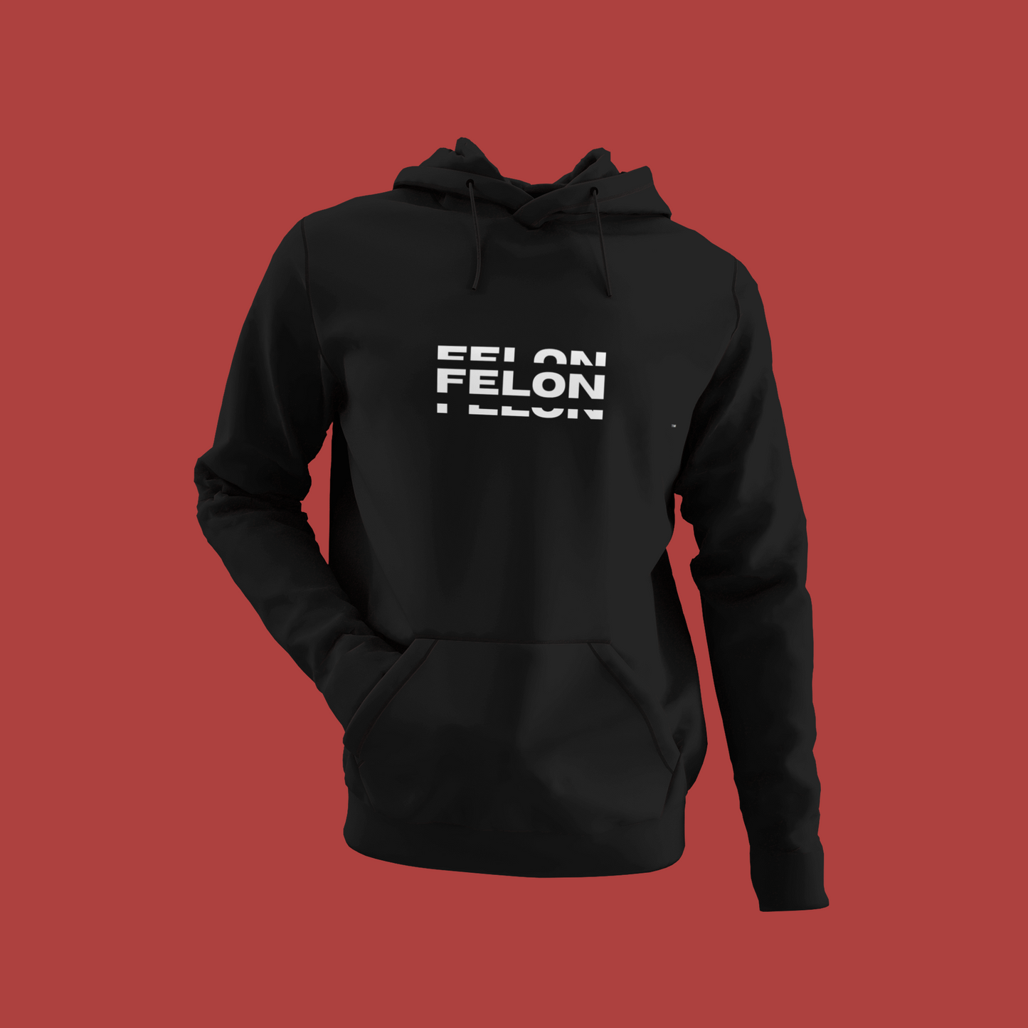 Felon Felon Felon  Hoodie