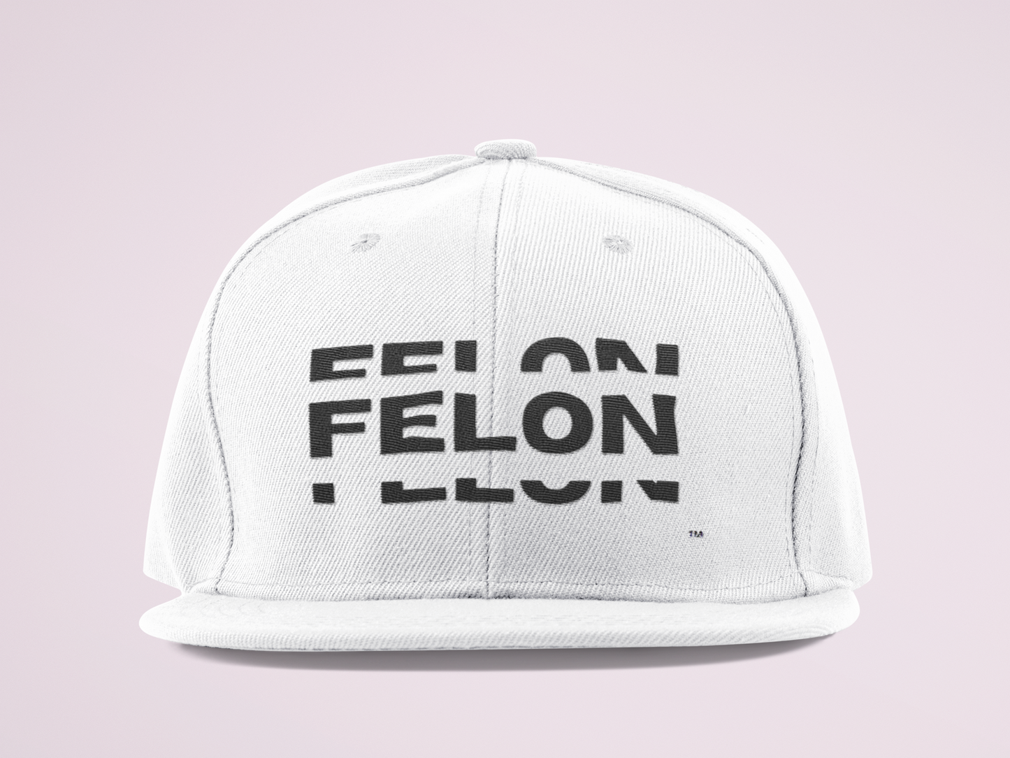 Felon Felon Felon Snapback