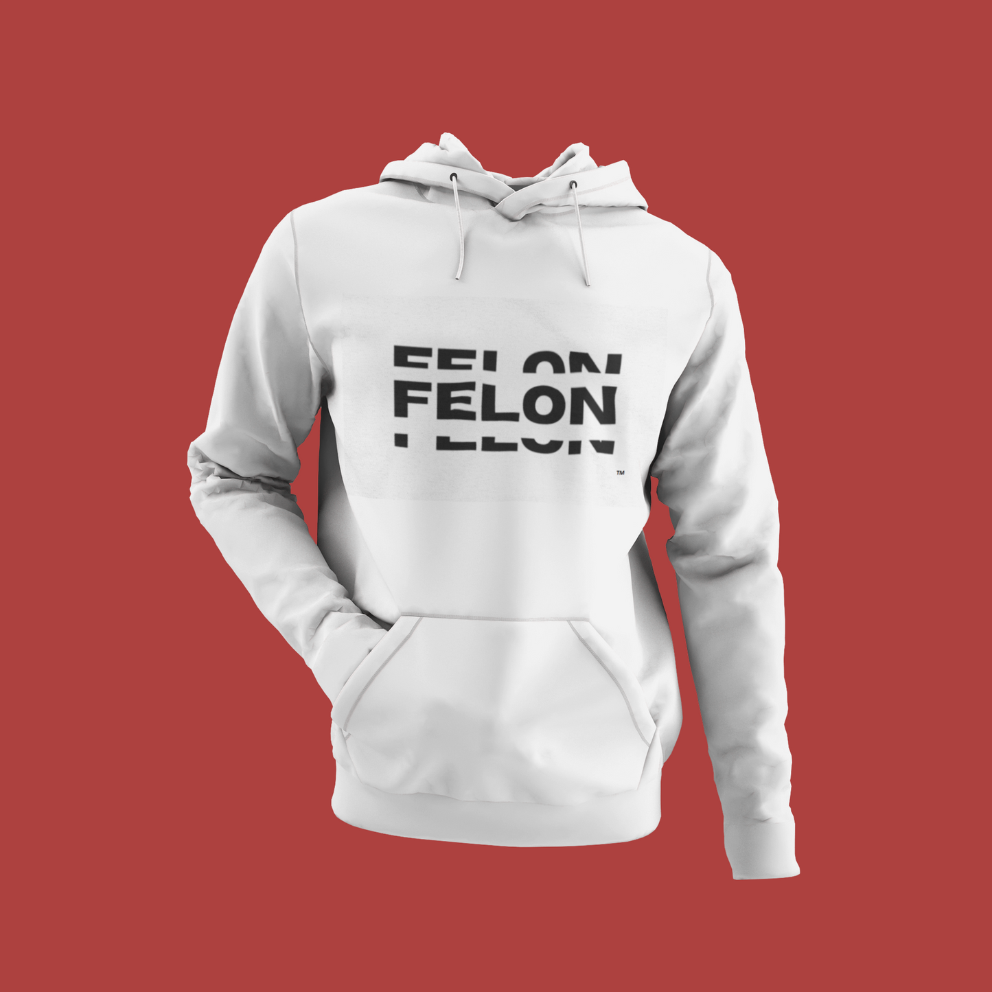 Felon Felon Felon  Hoodie